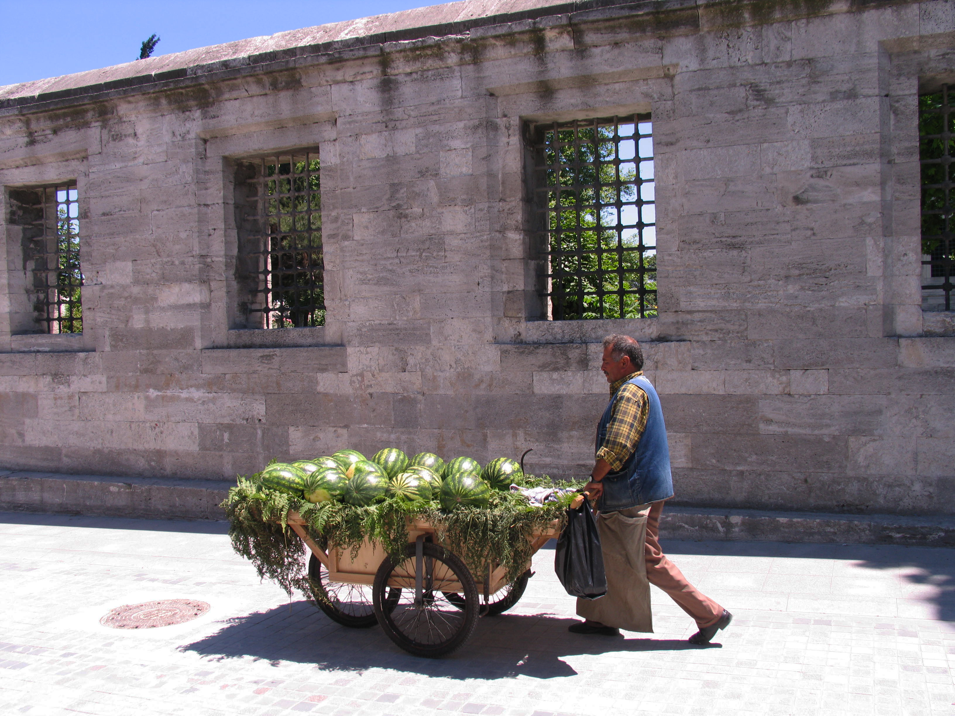 Suleymaniye Mosque, Istanbul Gardenvisit.com