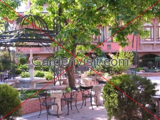 Sultan Ahmet Hotel Garden Turkey