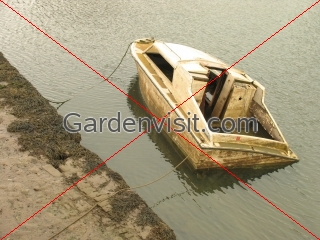 Sunken Boat