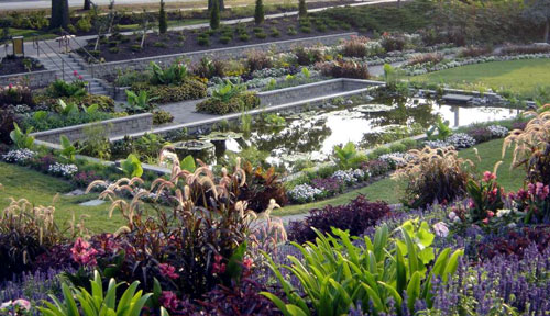 Water Lily Ponds at the Sunken Gardens