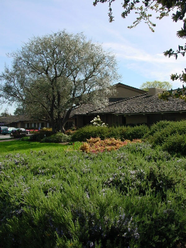 Sunset Gardens