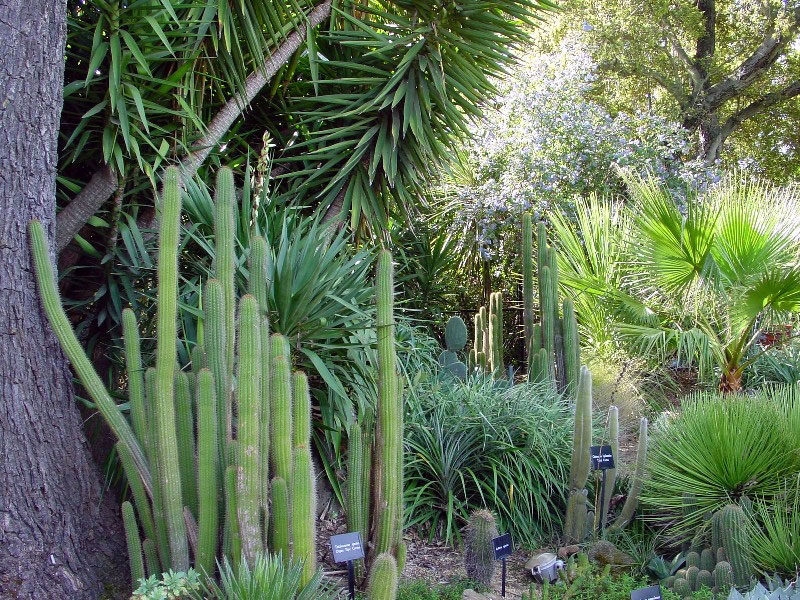 Sunset Gardens, California