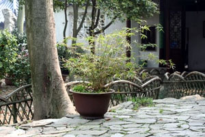 Surging waves garden