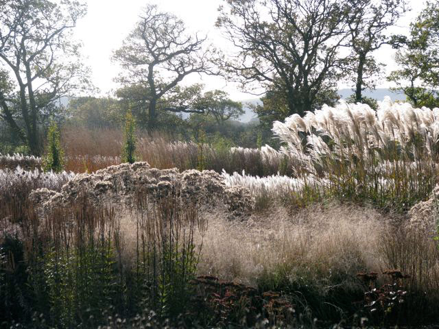 Sussex Prairie Garden, Autumn