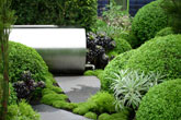 Sustainable roof garden