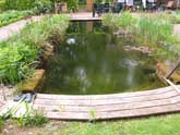 Natural swimming pond