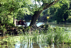 Lake at Swinton Park