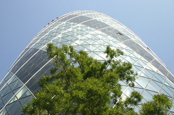 The Erotic Gherkin