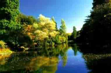 Syonx