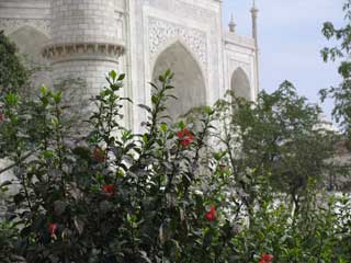 Taj mahal1