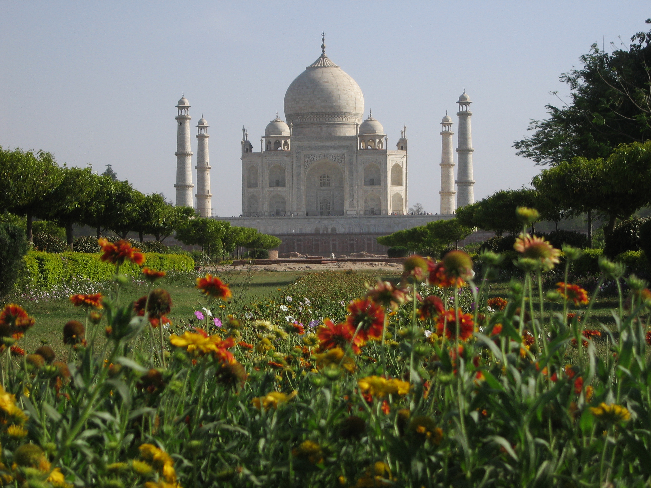 Taj Mahal Garden Ben Dalton