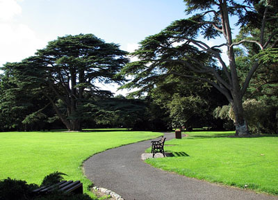 Talbot Botanic Garden by crypto