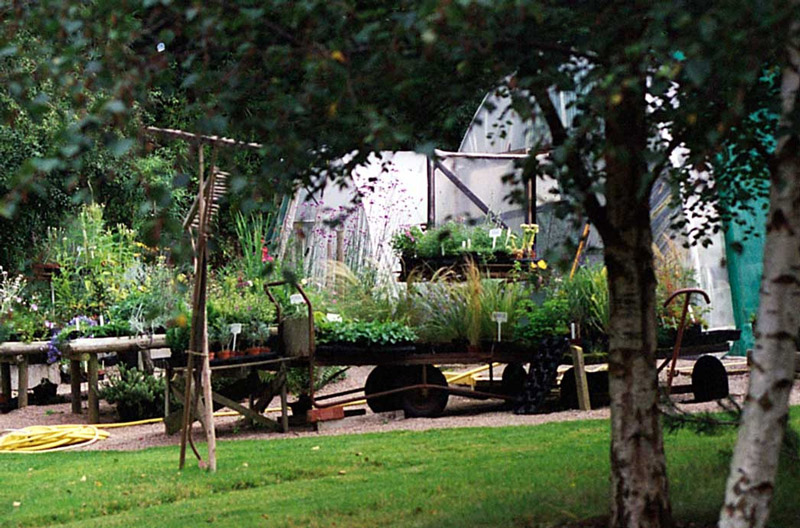 Tan-y-Llyn Nurseries, Powys