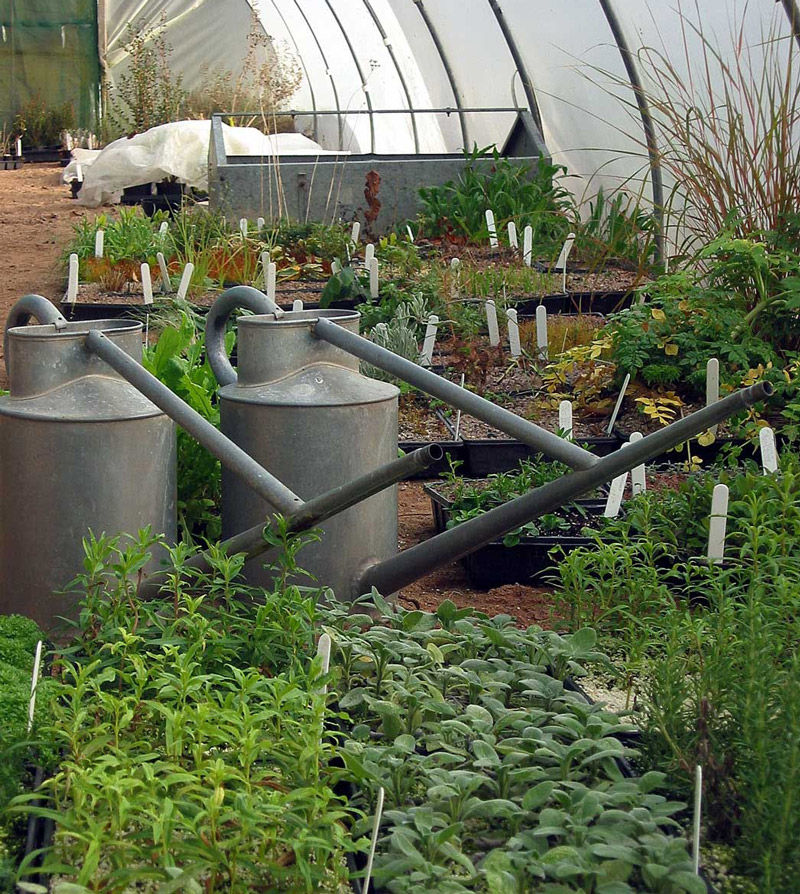 Tan-y-Llyn Nurseries, Wales