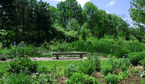 Tangled Garden, Nova Scotia