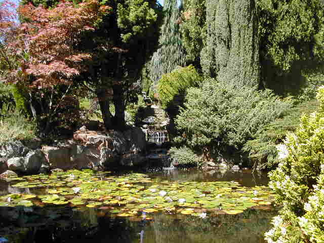 Royal Tasmanian Botanical Gardens