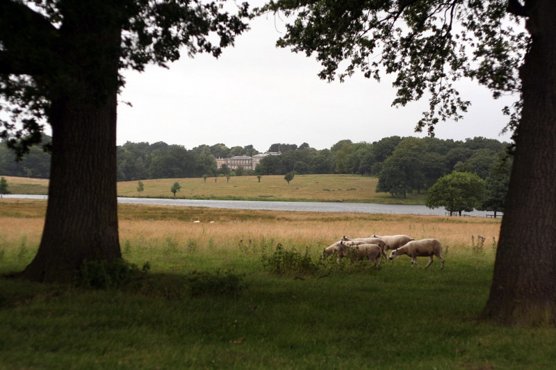 Tatton Park, July 2008