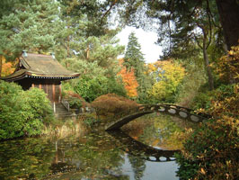 Tattonpark japanesegarden