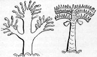 Illustrations on CD edition of Garden Visit and Travel Guide - see www.gardenvisit.com/order_form.htm