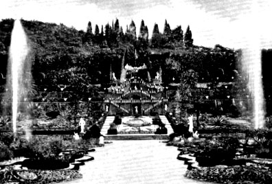 Illustrations on CD edition of Garden Visit and Travel Guide - see www.gardenvisit.com/order_form.htm