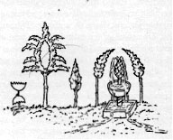 Illustrations on CD edition of Garden Visit and Travel Guide - see www.gardenvisit.com/order_form.htm