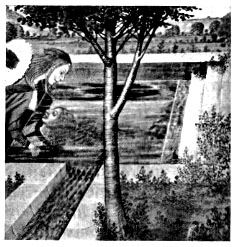 Illustrations on CD edition of Garden Visit and Travel Guide - see www.gardenvisit.com/order_form.htm