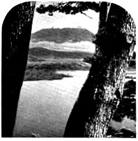Illustrations on CD edition of Garden Visit and Travel Guide - see www.gardenvisit.com/order_form.htm