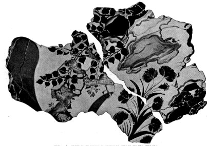 Illustrations on CD edition of Garden Visit and Travel Guide - see www.gardenvisit.com/order_form.htm