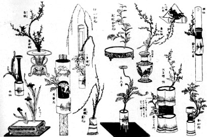 Illustrations on CD edition of Garden Visit and Travel Guide - see www.gardenvisit.com/order_form.htm