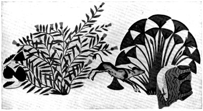 Illustrations on CD edition of Garden Visit and Travel Guide - see www.gardenvisit.com/order_form.htm