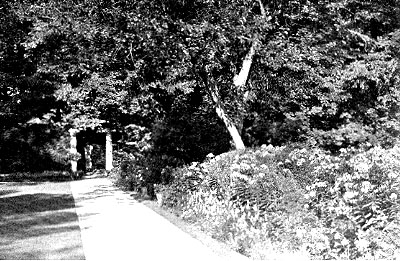 Illustrations on CD edition of Garden Visit and Travel Guide - see www.gardenvisit.com/order_form.htm