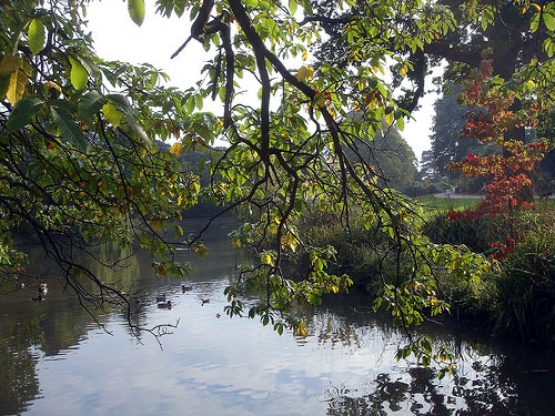 Temple Newsam Garden