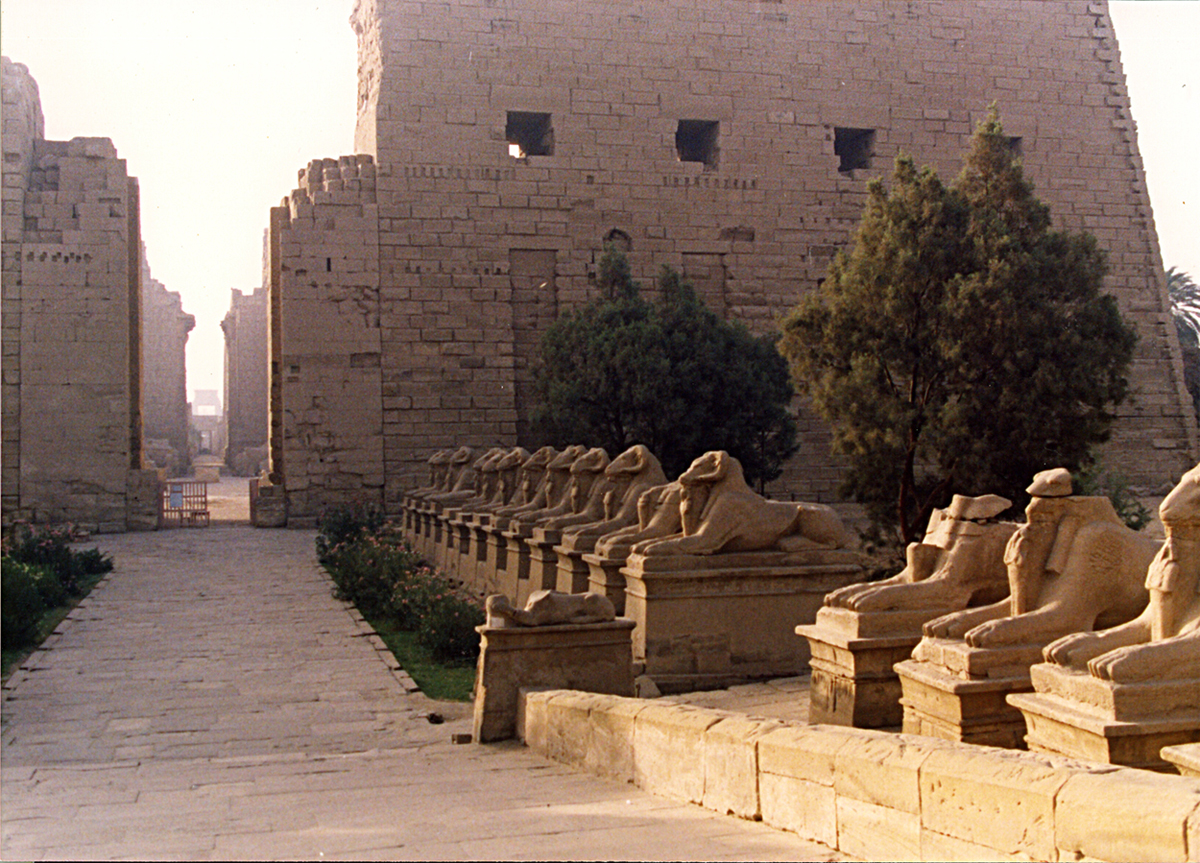Temple of Luxor digital cat