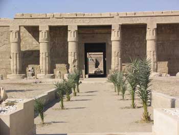Planting at Temple of Seti in West Thebes