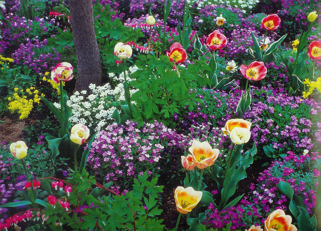 Temple Square Garden, Salt Lake City
