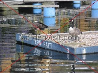 Tern Raft Docklands