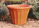 Terracotta pot