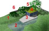 terrain