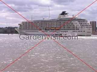 Thames Cruise
