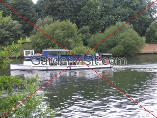 Thames Cruise Boat