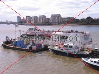 Thames Cruise Tourists
