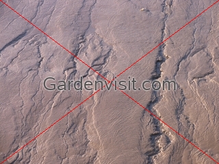 Thames Mud