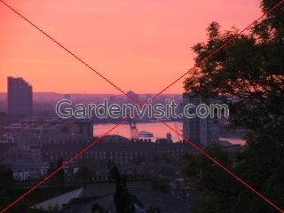 Thames Sunset