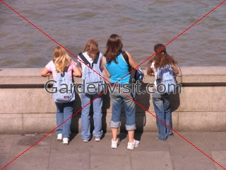 Thames Tourists