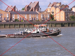 Thames Tug