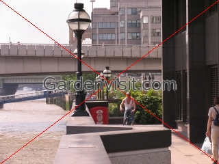 Thames Walkway