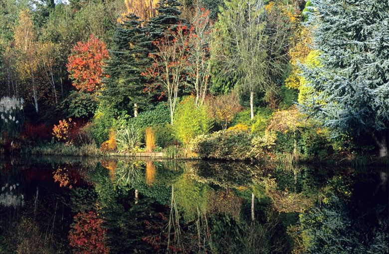 The Dingle, Autumn