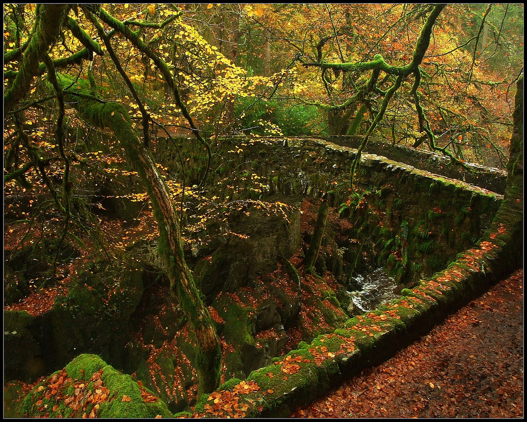 The Hermitage Garden stuart anthony