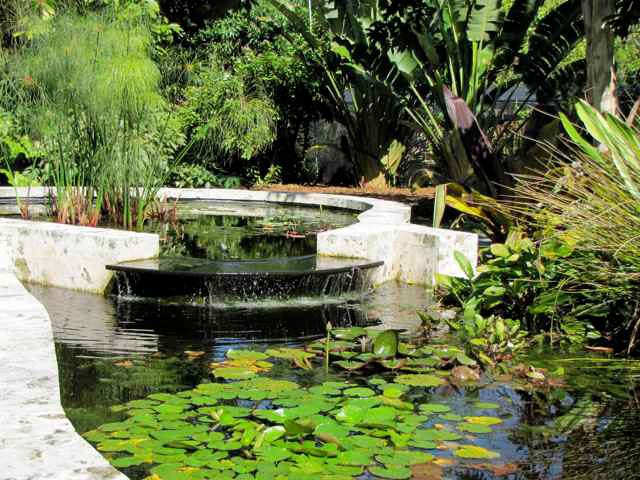 Pond, The Kampong