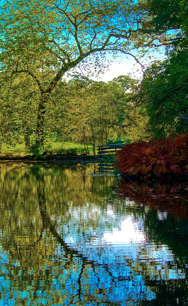 The Savill Garden and Valley Garden Anguskirk